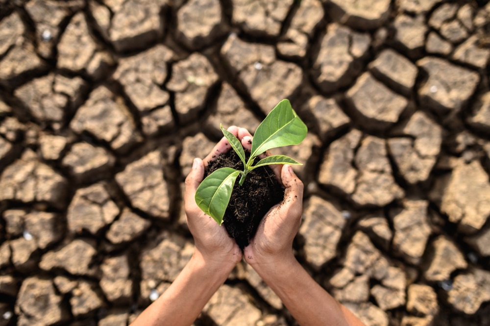 ¿Es real el cambio climático?