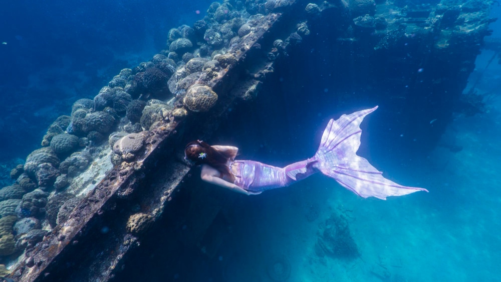 ¿De dónde vienen las SIRENAS?