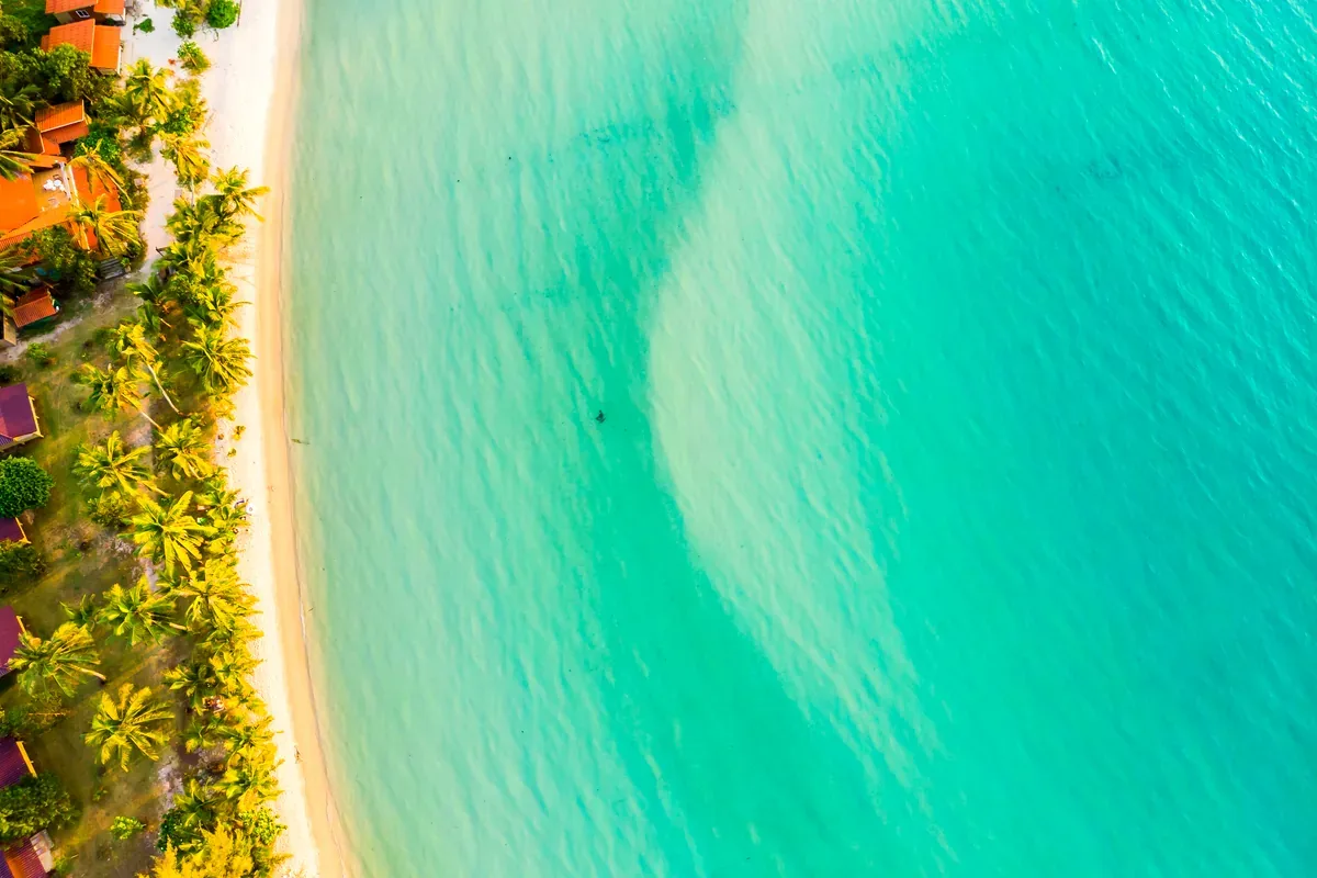 Vista aérea de una playa de agua turquesa bordeada de palmeras
