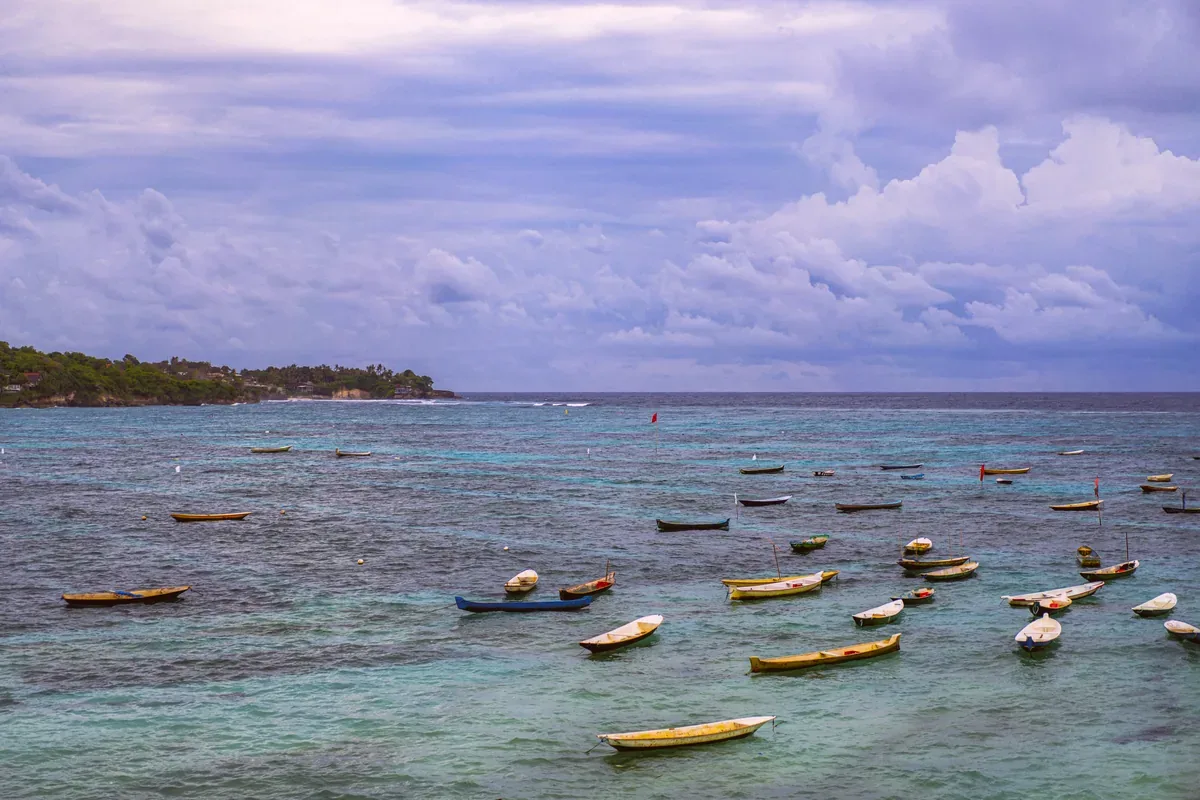 Lanchas de colores fondeadas en una bahía