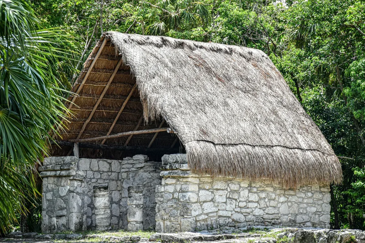 Construcción maya de piedra con techo de palma en la selva