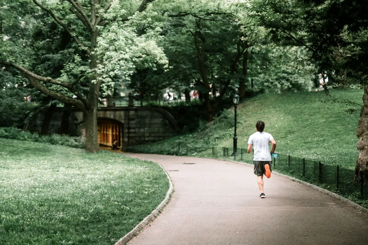 Persona que corre por un camino entre árboles en un parque